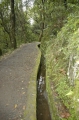 madeira views, levadas, levada